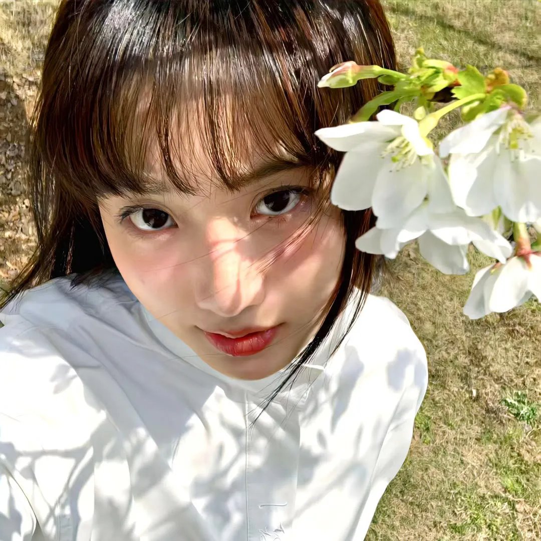 玉米田的控诉