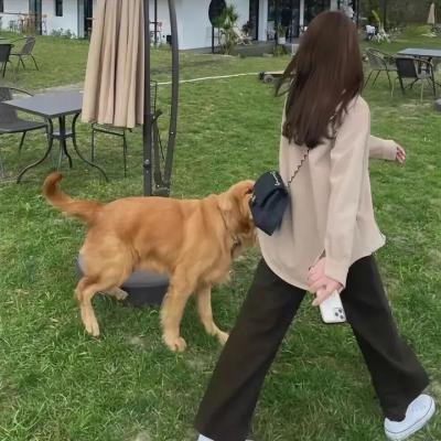 龙蛇小霸王